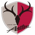 Kashima Antlers